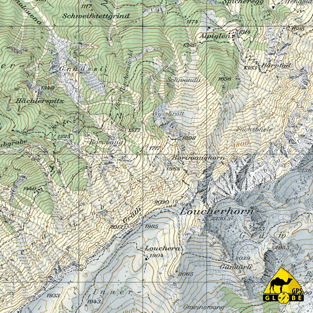 Carte Tout Terrain Suisse Au 1 25 000   Suisse 1 25 000 