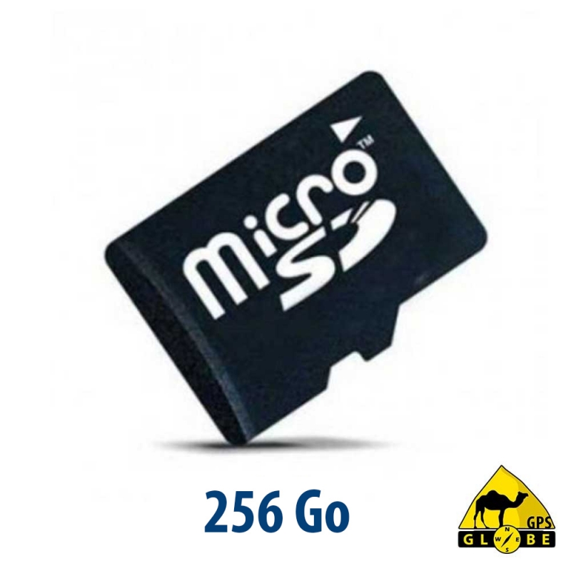 propose une énorme promotion de 63% sur cette carte microSD